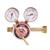 37912025  GasiQ High Capacity Regulator H25 Oxygen 25 Bar. G5/8